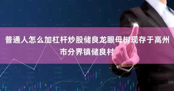 普通人怎么加杠杆炒股储良龙眼母树现存于高州市分界镇储良村